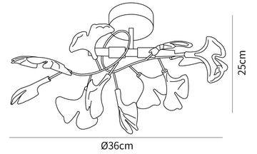 Ginkgo Plafondlamp — Dimension drawings 1