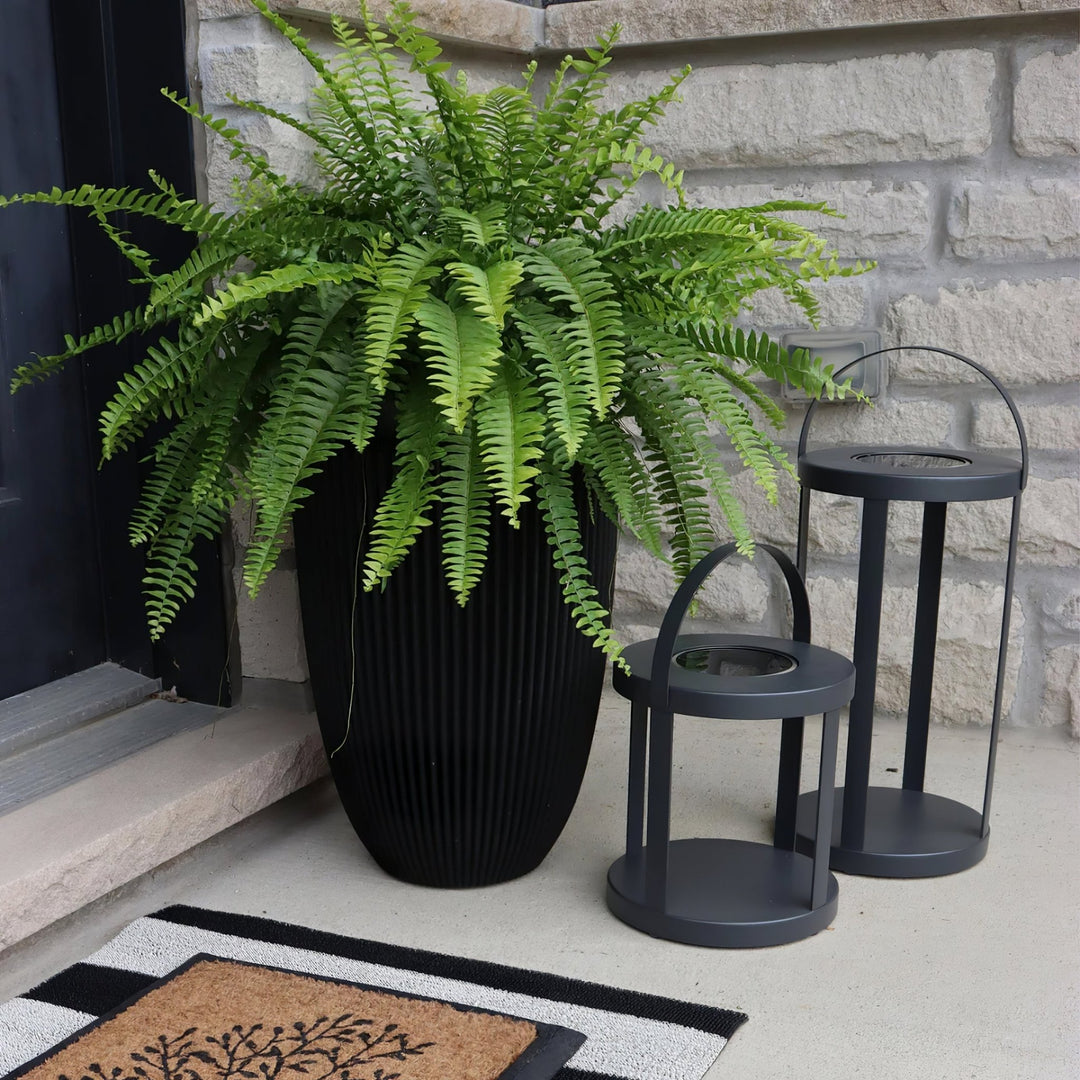 Nuvoro Lantern Outdoor Light - Vakkerlight