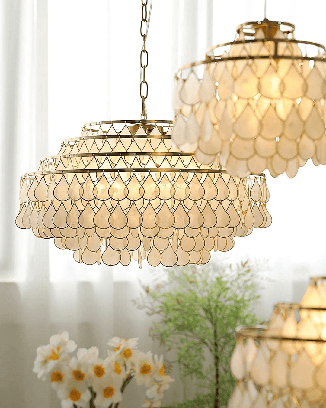 Teardrops Shell Chandelier - Vakkerlight