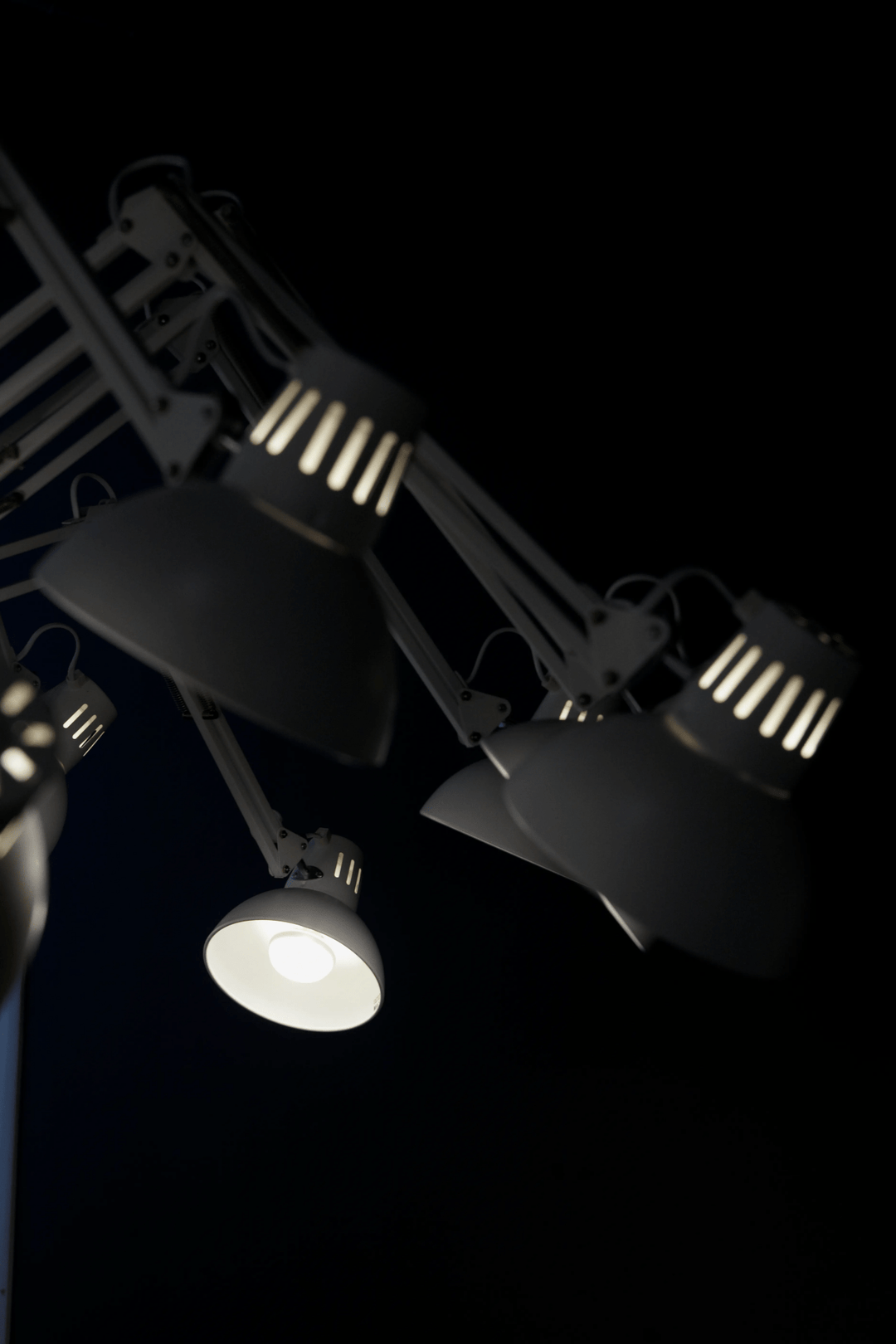 Dear Ingo Chandelier - Vakkerlight