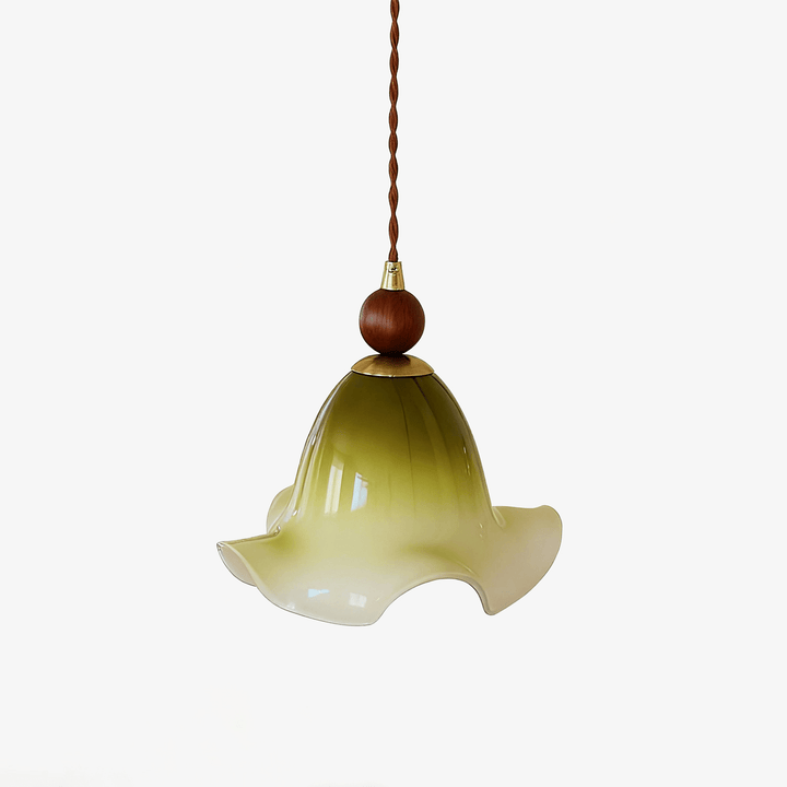 Gradient Petal Pendant Lamp - Vakkerlight