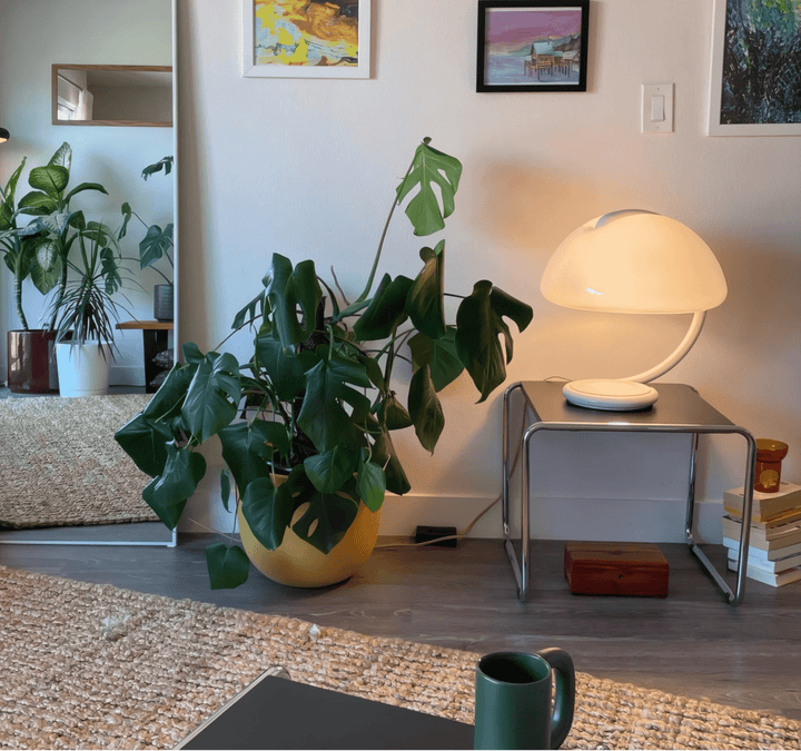 Arc Dome Table Lamp - Vakkerlight