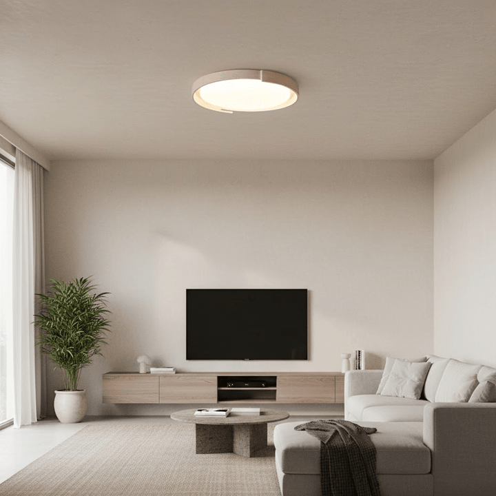 Orbital Edge Ceiling Light - Vakkerlight