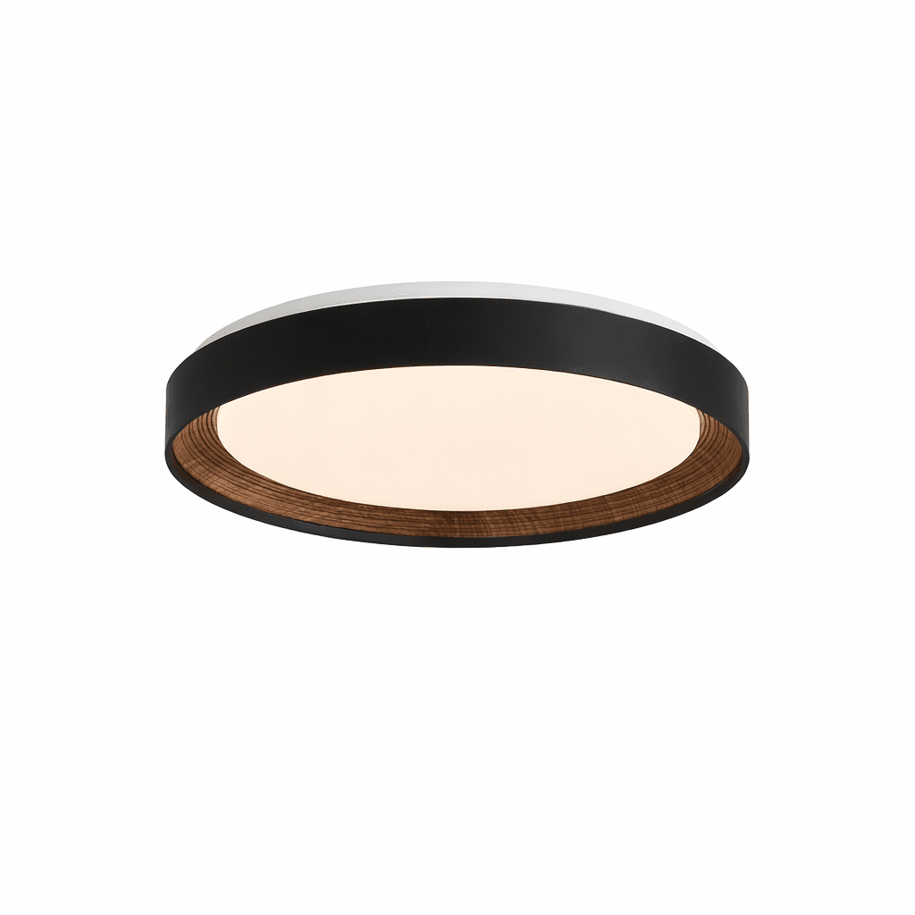 Arco Acrylic Ceiling Light - Vakkerlight