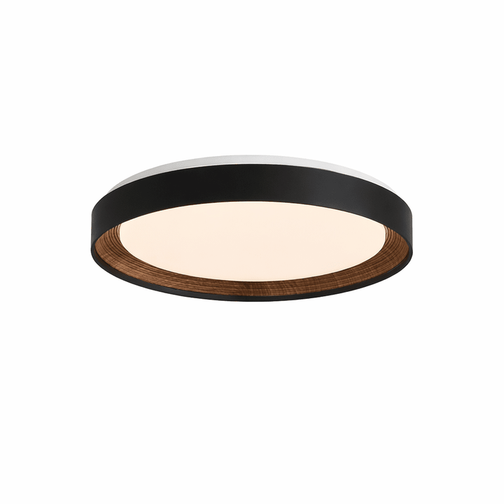 Arco Acrylic Ceiling Light - Vakkerlight