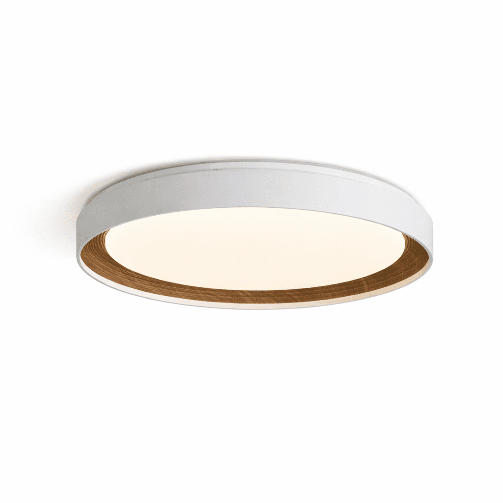Arco Acrylic Ceiling Light - Vakkerlight
