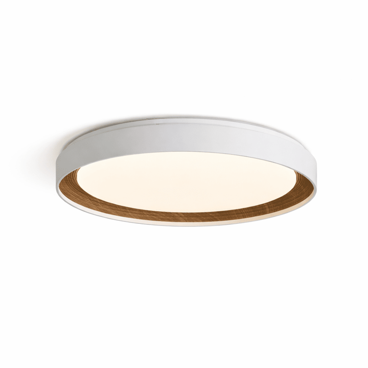 Arco Acrylic Ceiling Light - Vakkerlight