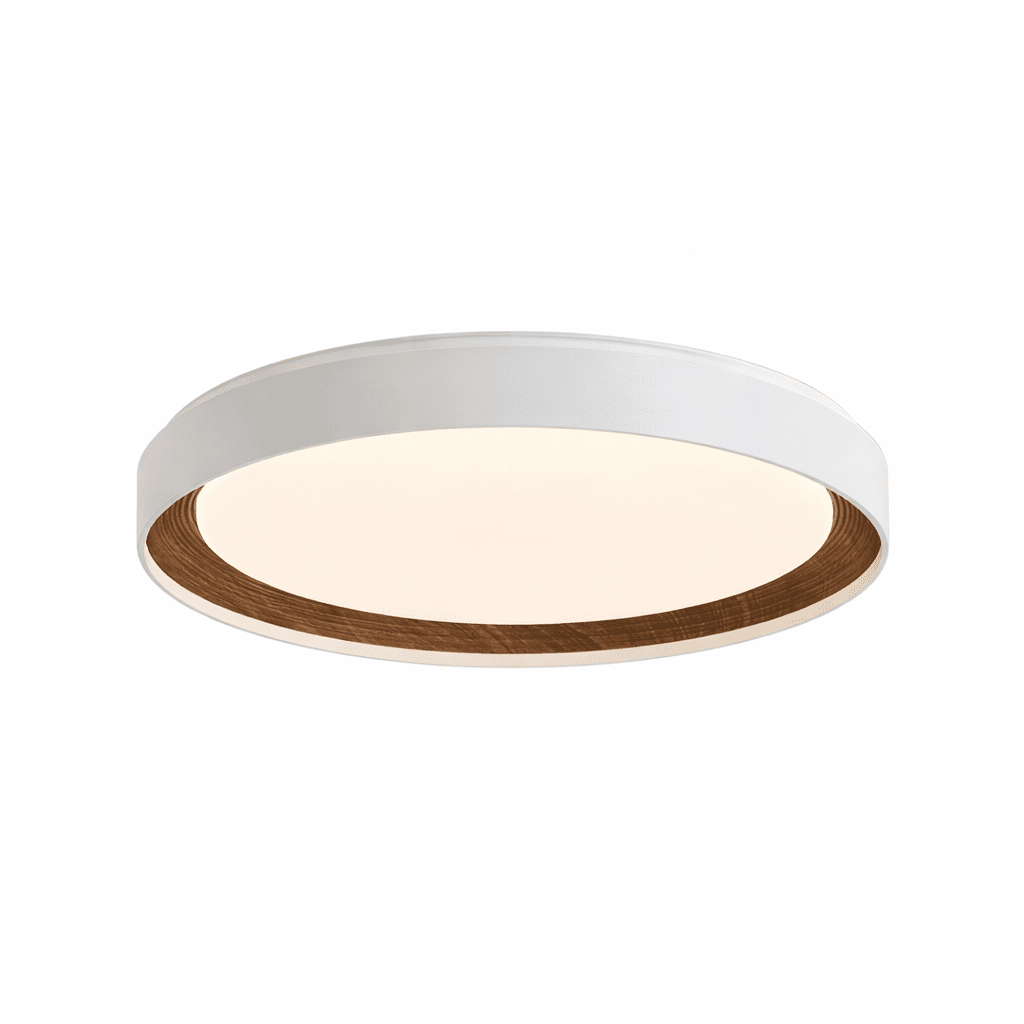 Arco Acrylic Ceiling Light - Vakkerlight