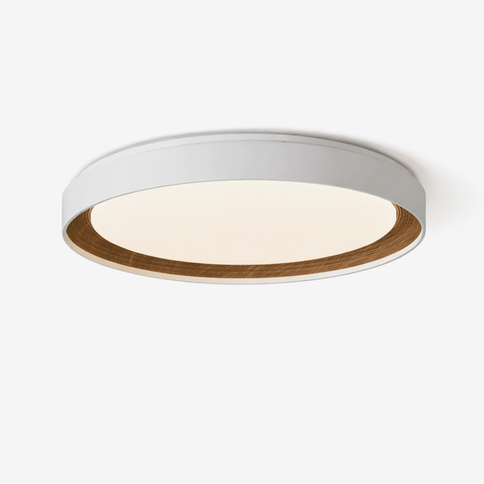 Arco Acrylic Ceiling Light - Vakkerlight