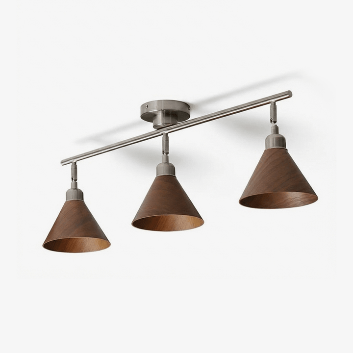 Axiom Directional Ceiling Lamp - Vakkerlight