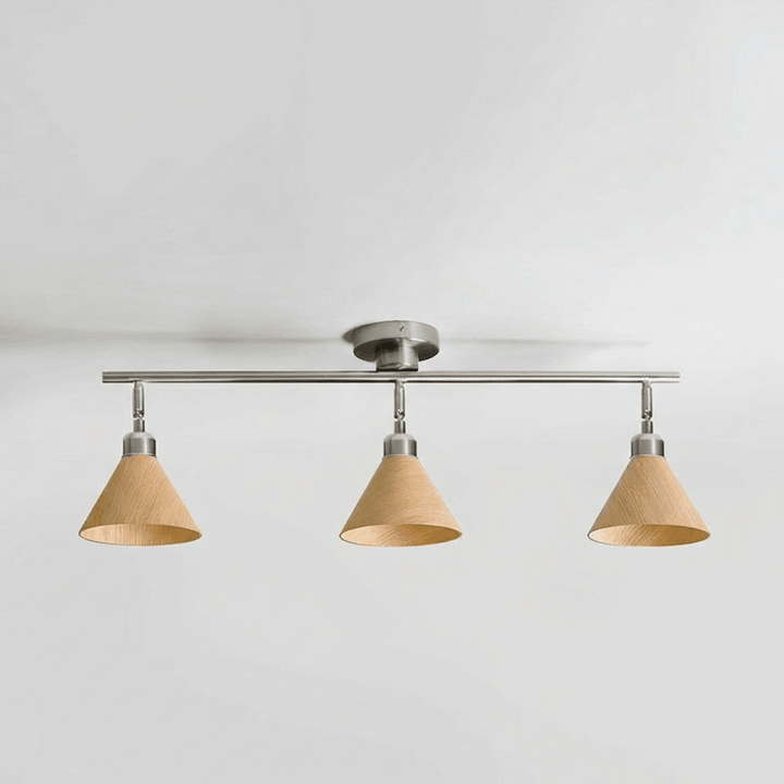 Axiom Directional Ceiling Lamp - Vakkerlight