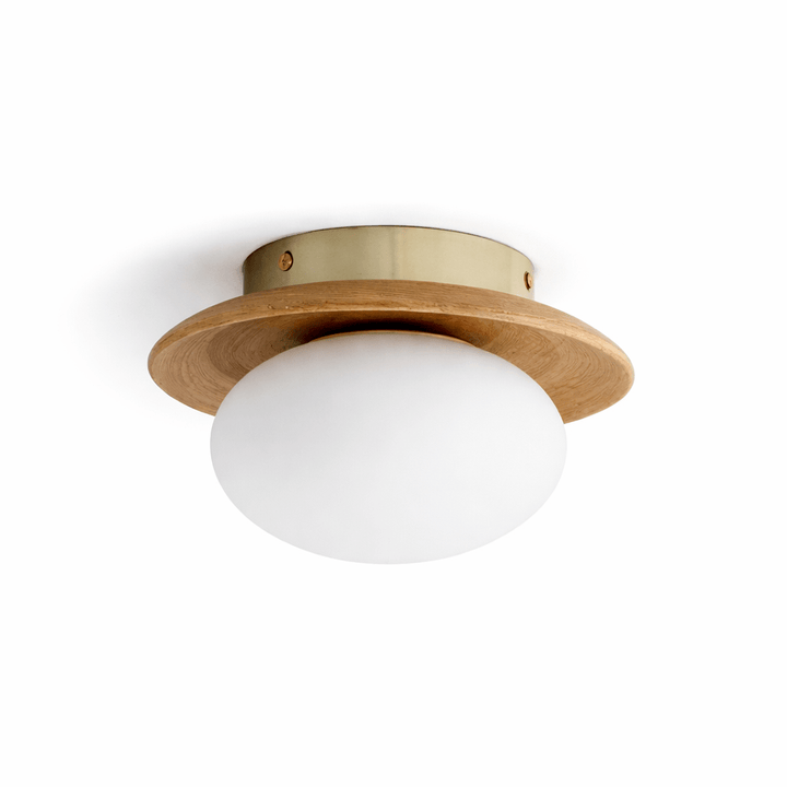 Brio Dome Ceiling Light - Vakkerlight