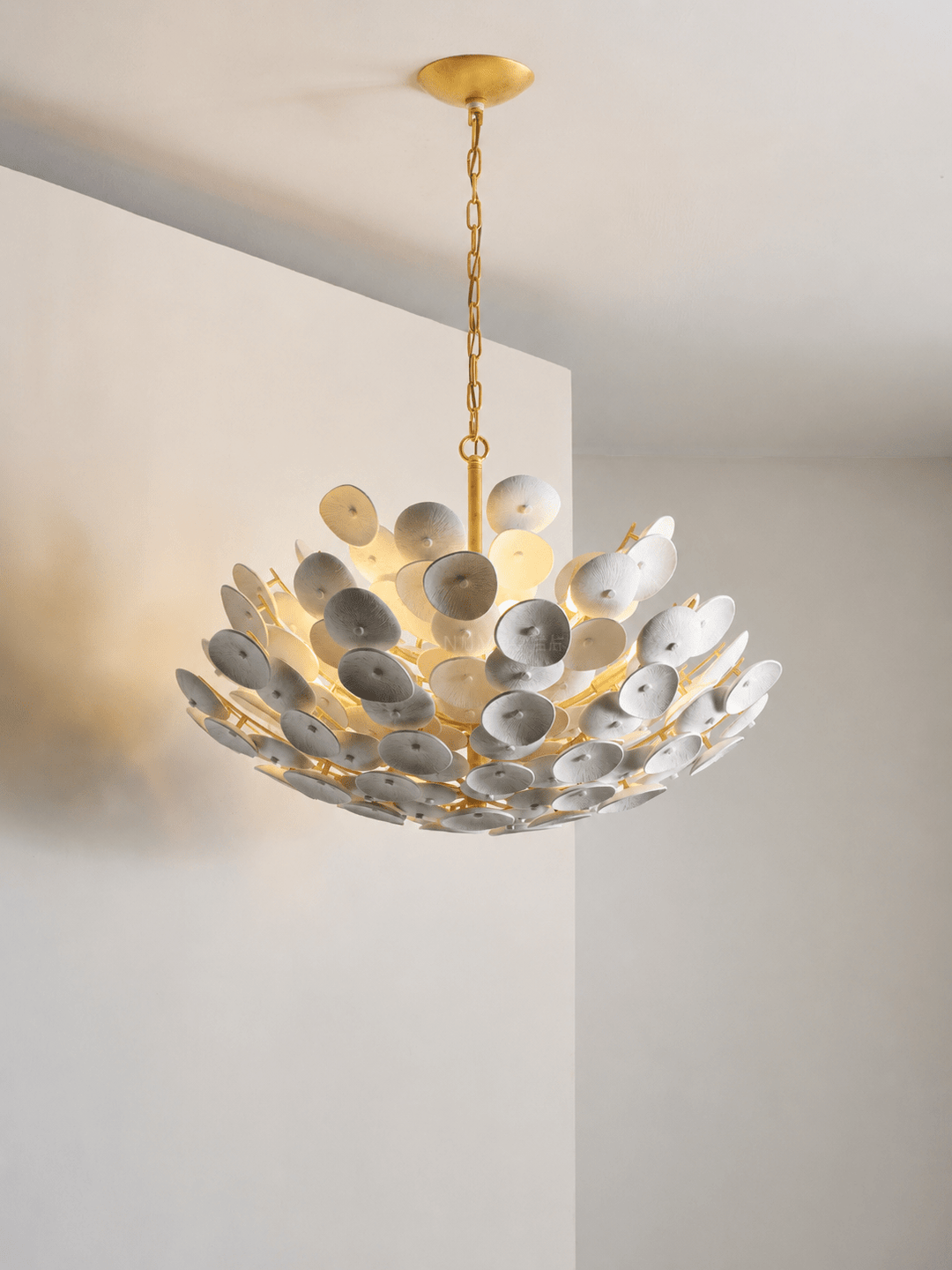 Coconut Disc Chandelier - Vakkerlight