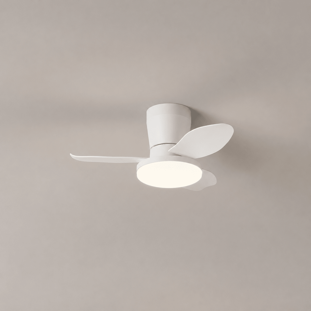 Aldren Ceiling Fan Light - Vakkerlight