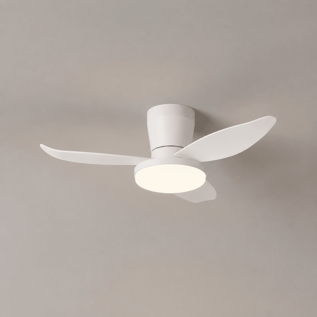 Aldren Ceiling Fan Light - Vakkerlight