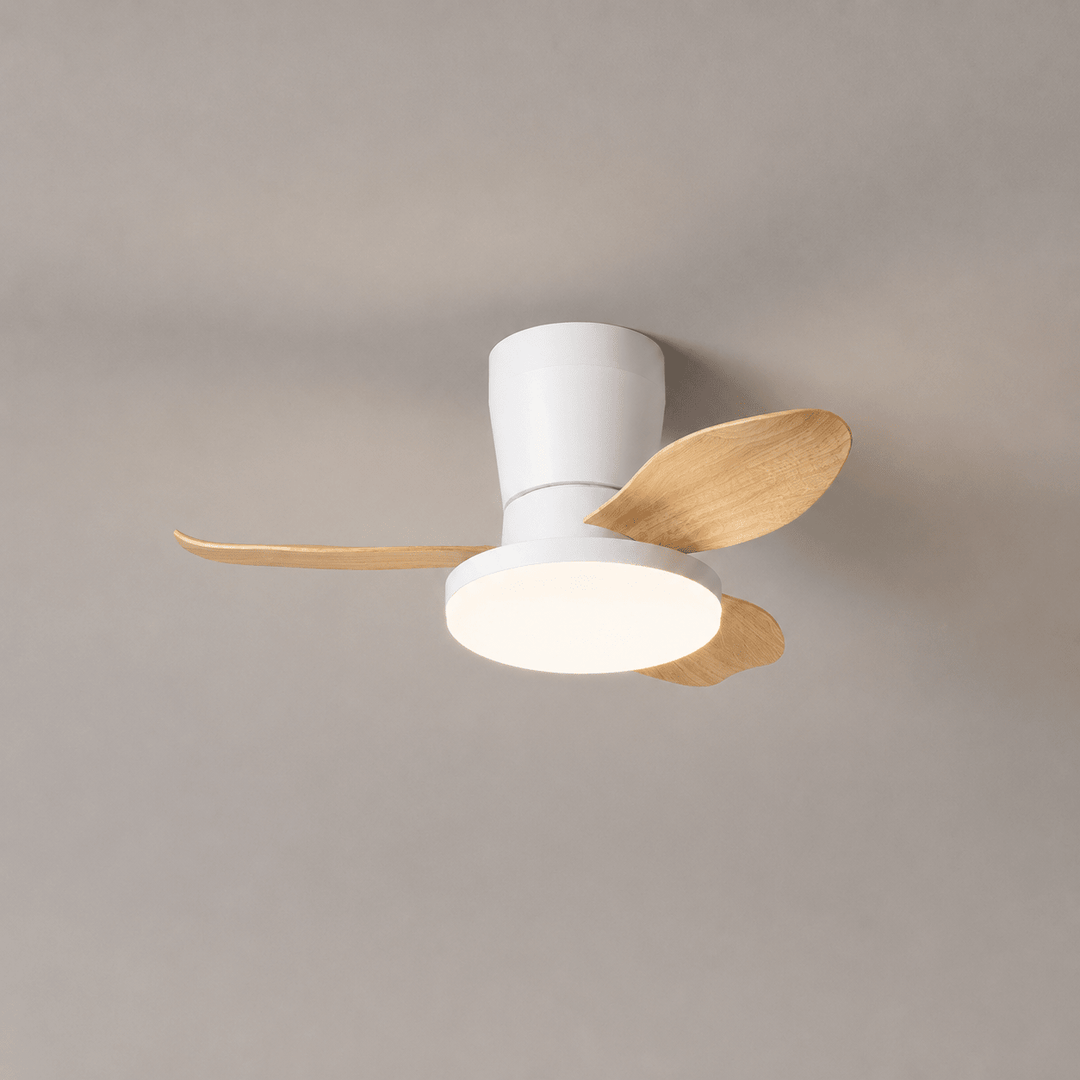 Aldren Ceiling Fan Light - Vakkerlight