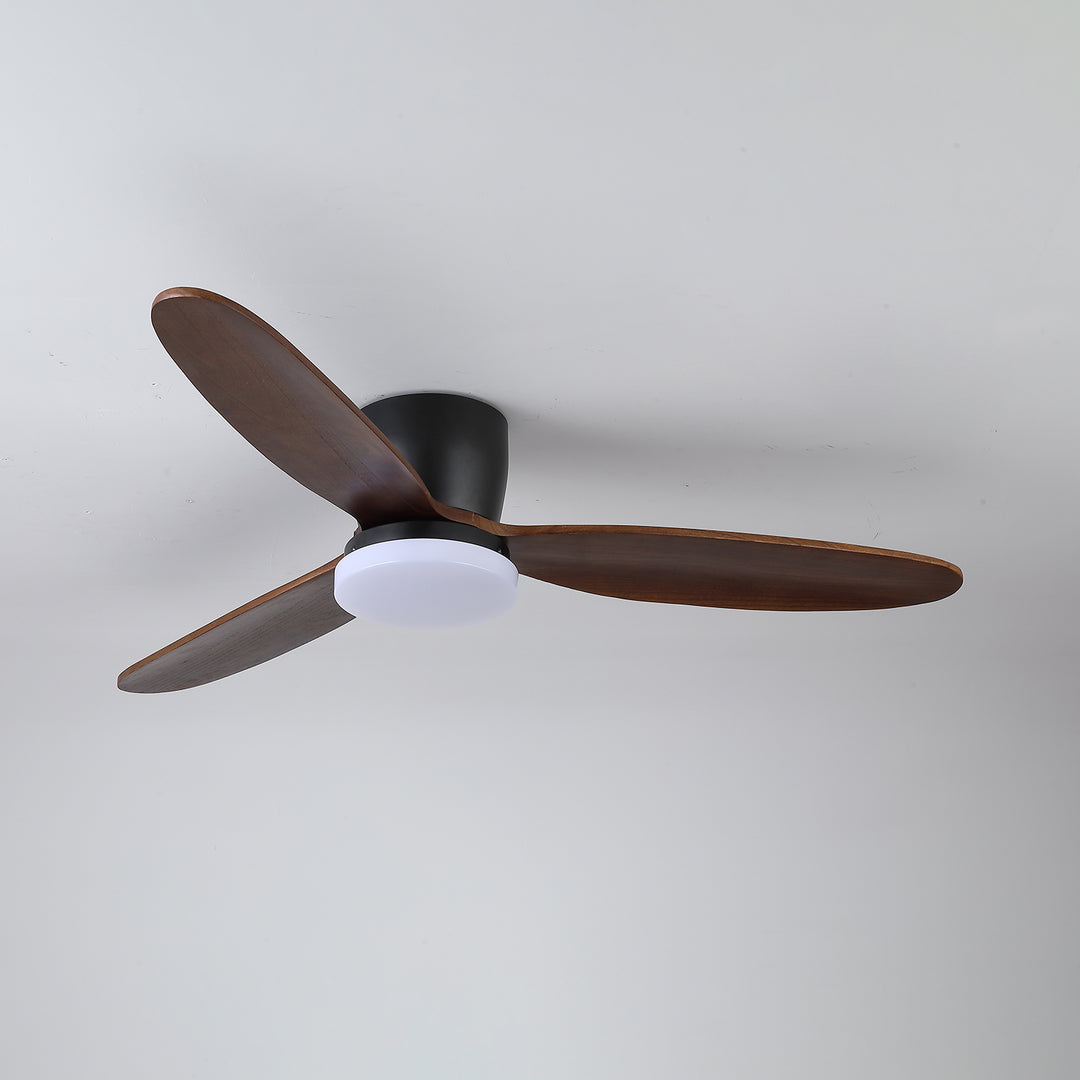 Nocturnus Ceiling Fan Light - Vakkerlight