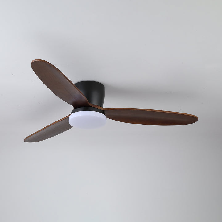 Nocturnus Ceiling Fan Light - Vakkerlight