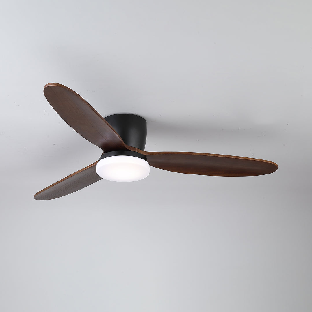 Nocturnus Ceiling Fan Light - Vakkerlight
