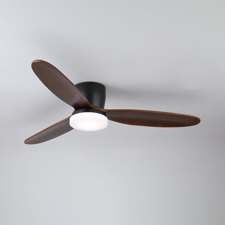 Nocturnus Ceiling Fan Light - Vakkerlight