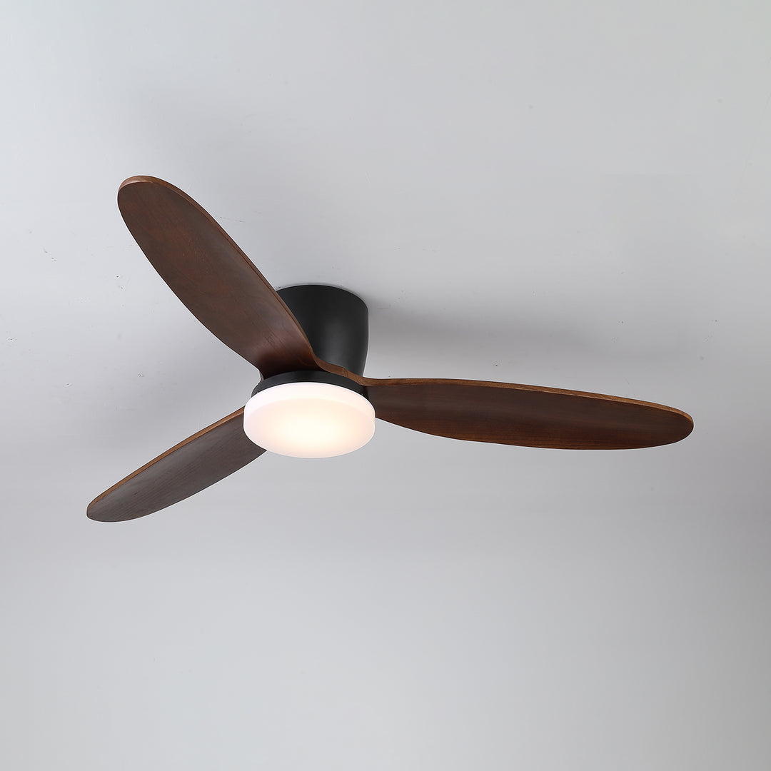 Nocturnus Ceiling Fan Light - Vakkerlight