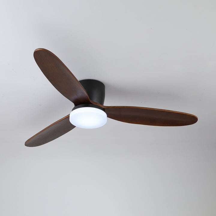 Nocturnus Ceiling Fan Light - Vakkerlight