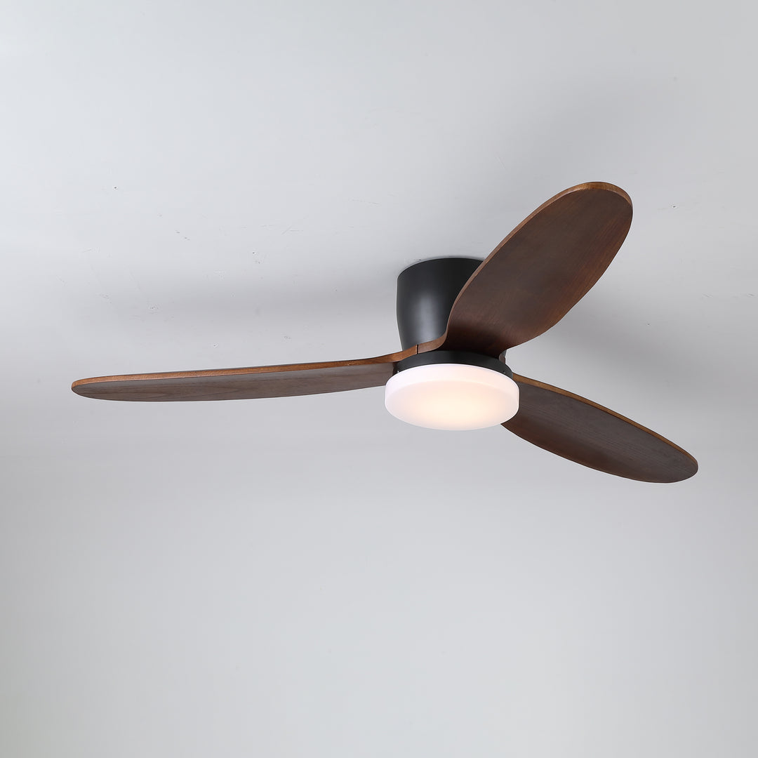 Nocturnus Ceiling Fan Light - Vakkerlight