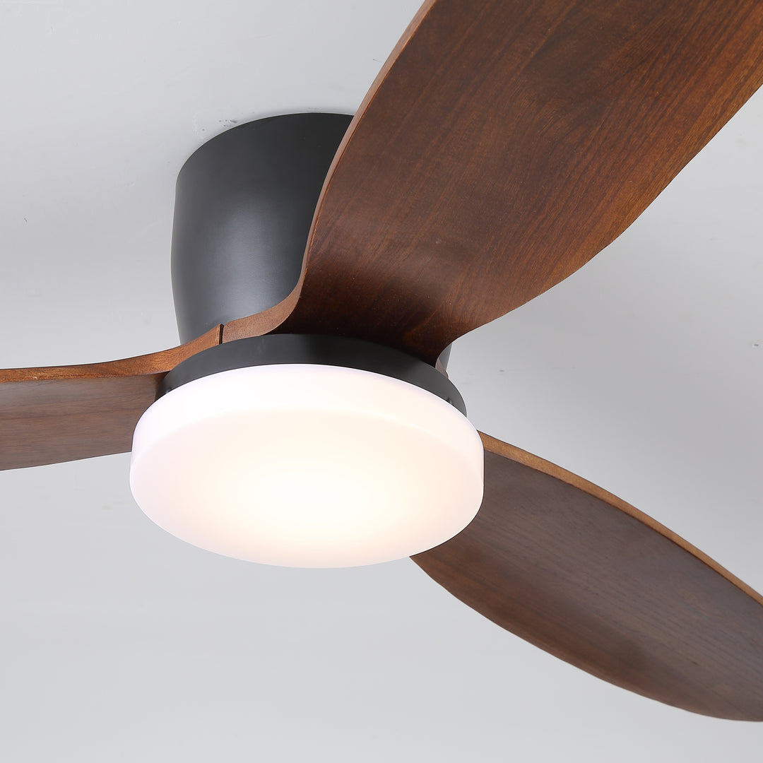 Nocturnus Ceiling Fan Light - Vakkerlight