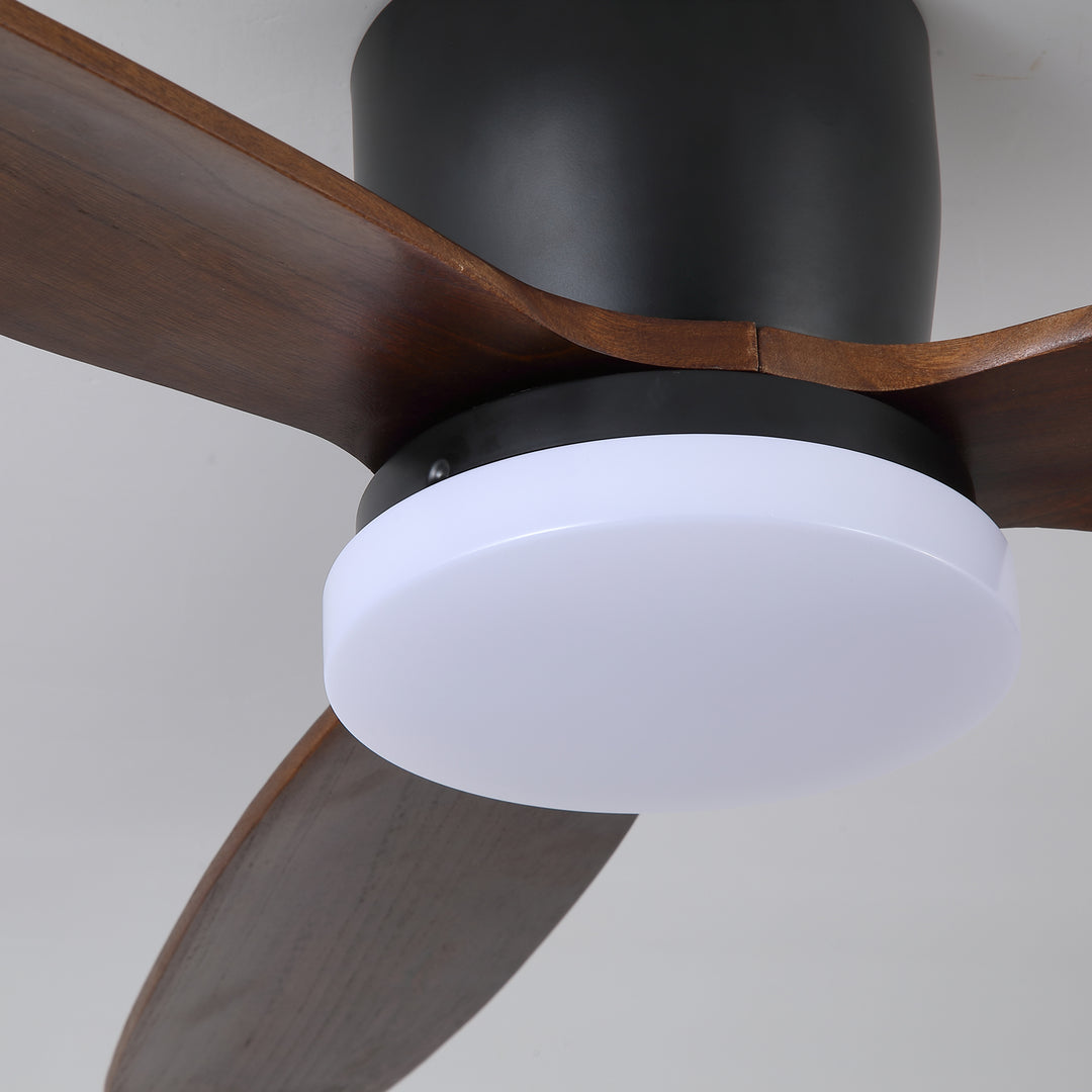 Nocturnus Ceiling Fan Light - Vakkerlight