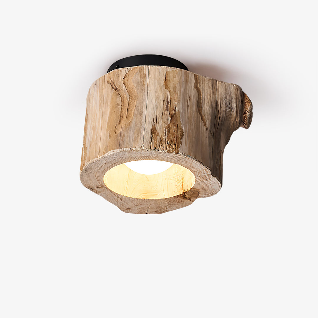 Tarn Hollow Ceiing Lamp - Vakkerlight