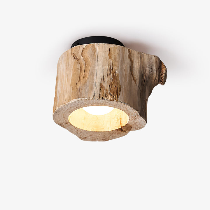 Tarn Hollow Ceiing Lamp - Vakkerlight