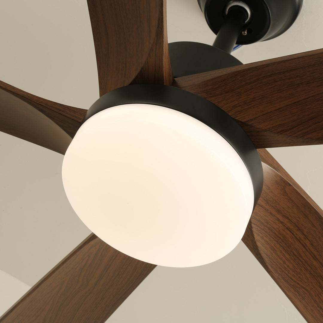 Auralin Breeze Ceiling Fan Light - Vakkerlight