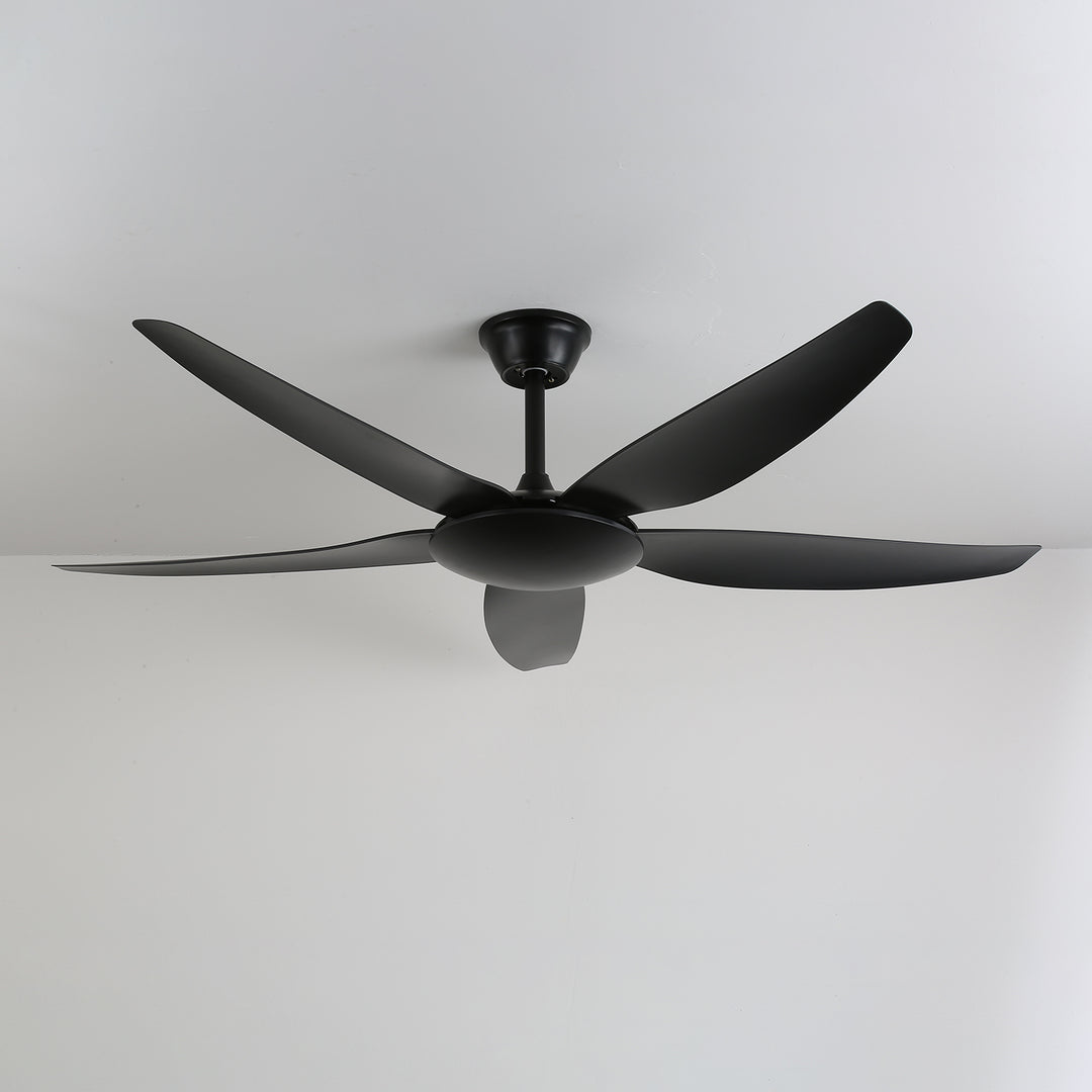 Aeron Noir Ceiling Fan - Vakkerlight