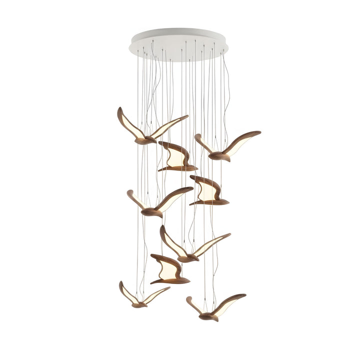 Warbler Chandelier - Vakkerlight