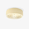 Adler Ceiling Light - Vakkerlight