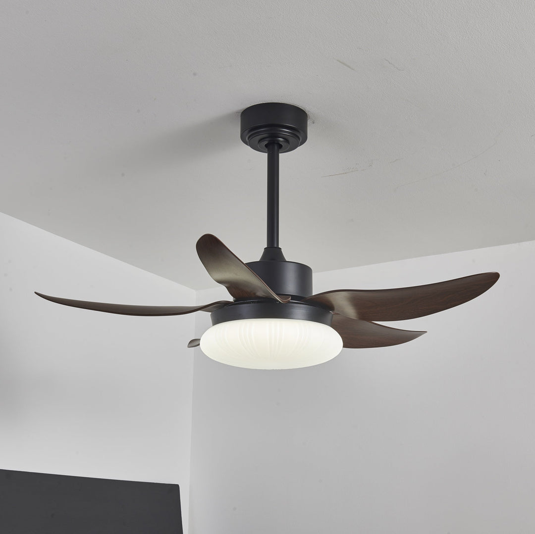 Aero Palm Ceiling Fan Light - Vakkerlight
