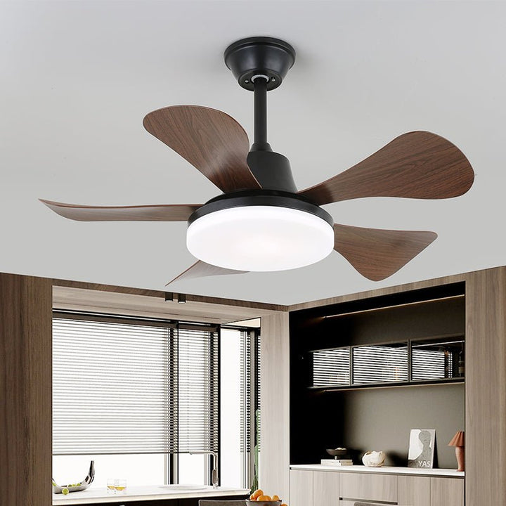Aeroglow LED Ceiling Fan Light - Vakkerlight
