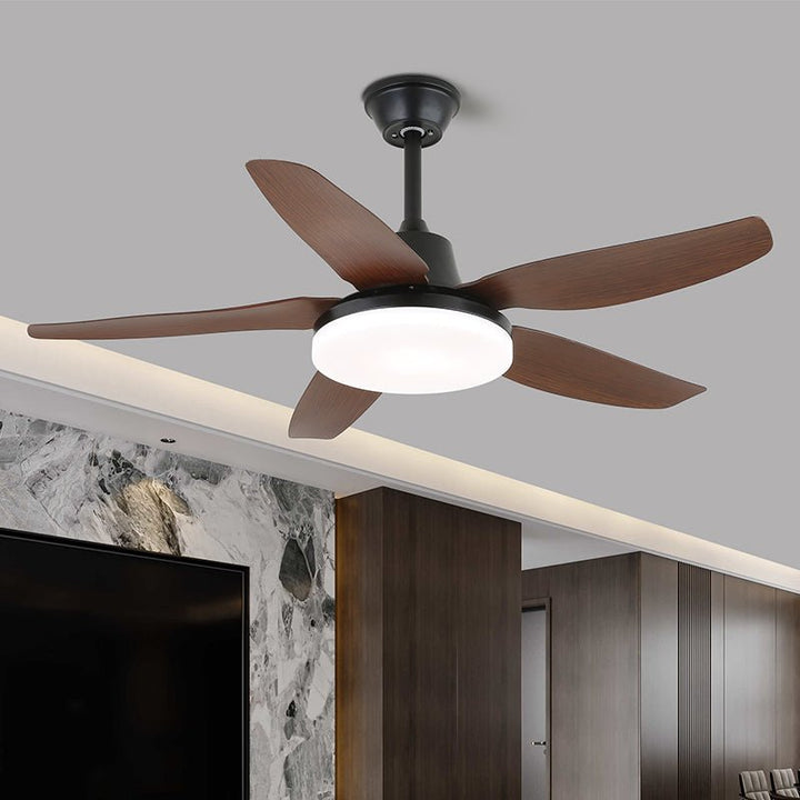 Aeroglow LED Ceiling Fan Light - Vakkerlight