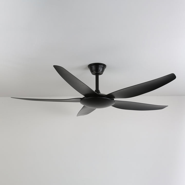 Aeron Noir Ceiling Fan - Vakkerlight