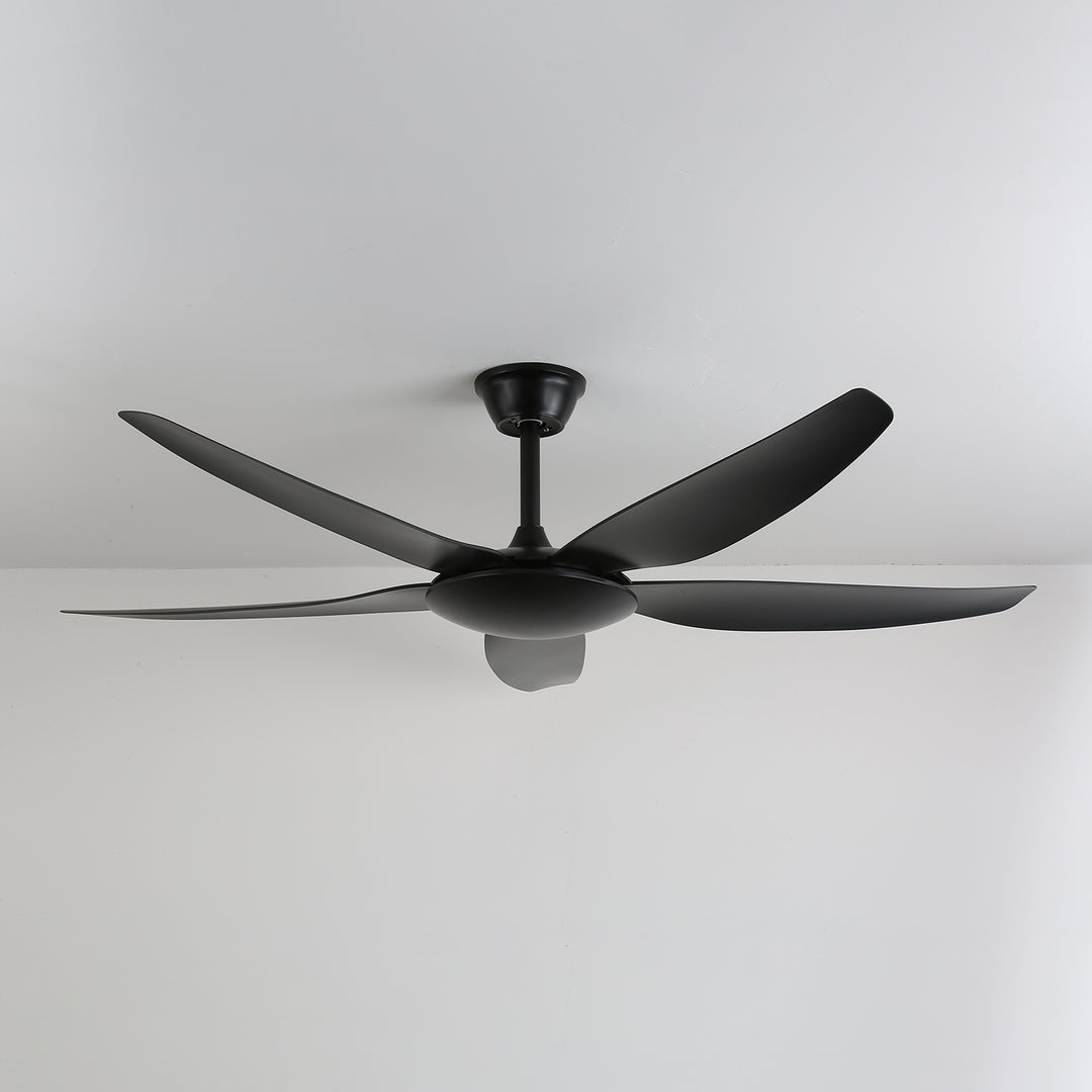 Aeron Noir Ceiling Fan - Vakkerlight