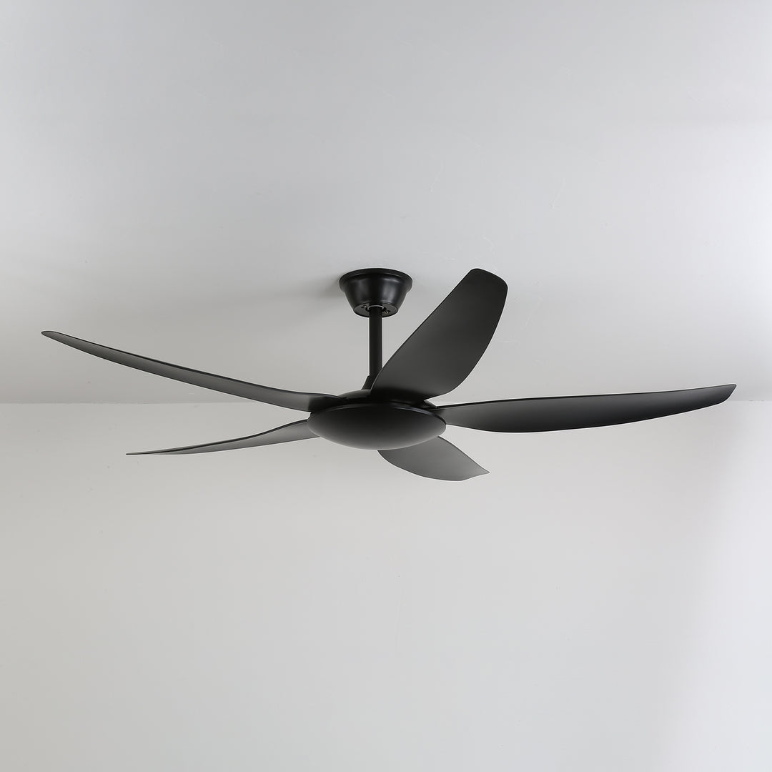 Aeron Noir Ceiling Fan - Vakkerlight
