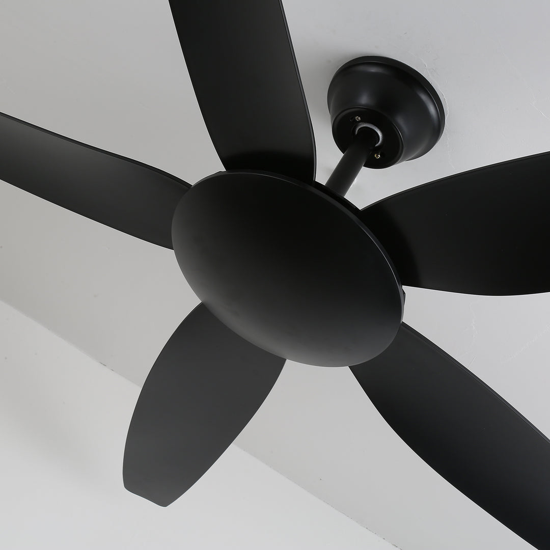 Aeron Noir Ceiling Fan - Vakkerlight