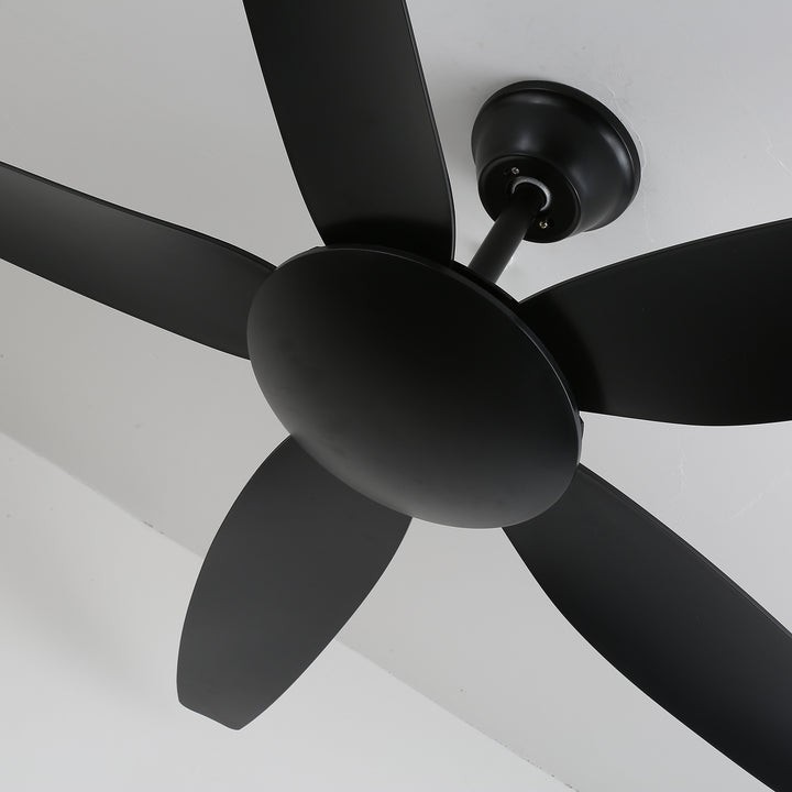 Aeron Noir Ceiling Fan - Vakkerlight