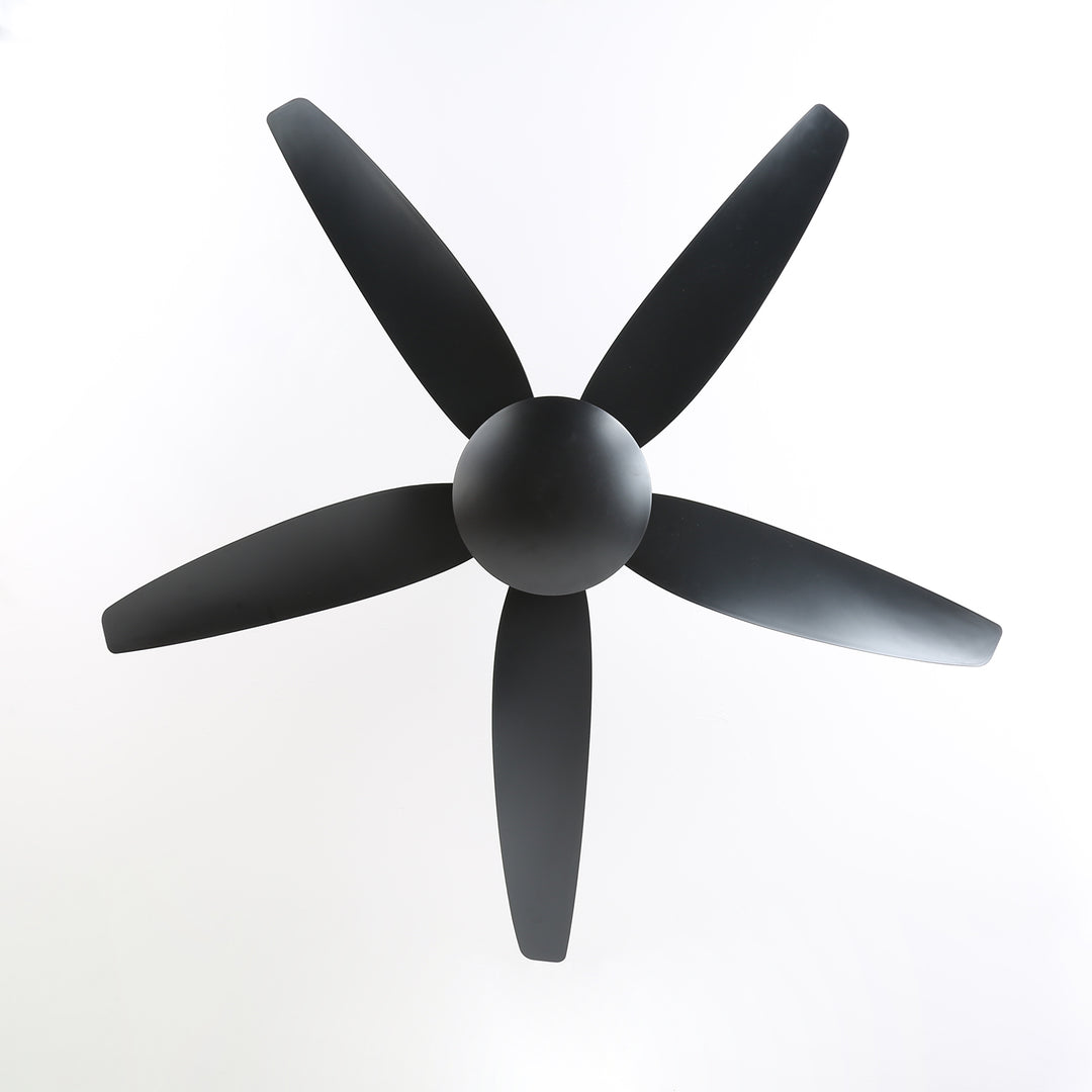 Aeron Noir Ceiling Fan - Vakkerlight