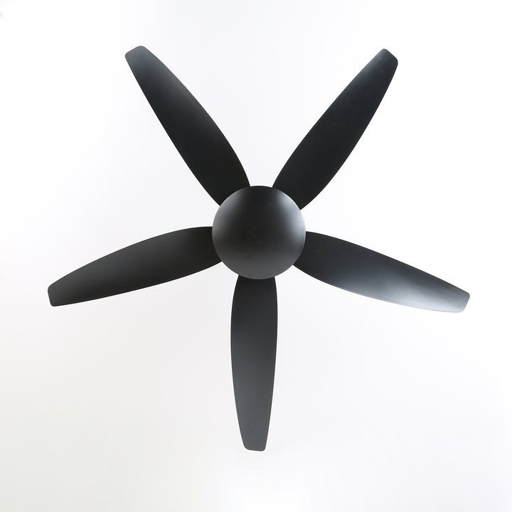 Aeron Noir Ceiling Fan - Vakkerlight