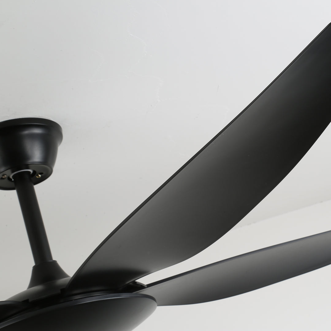 Aeron Noir Ceiling Fan - Vakkerlight