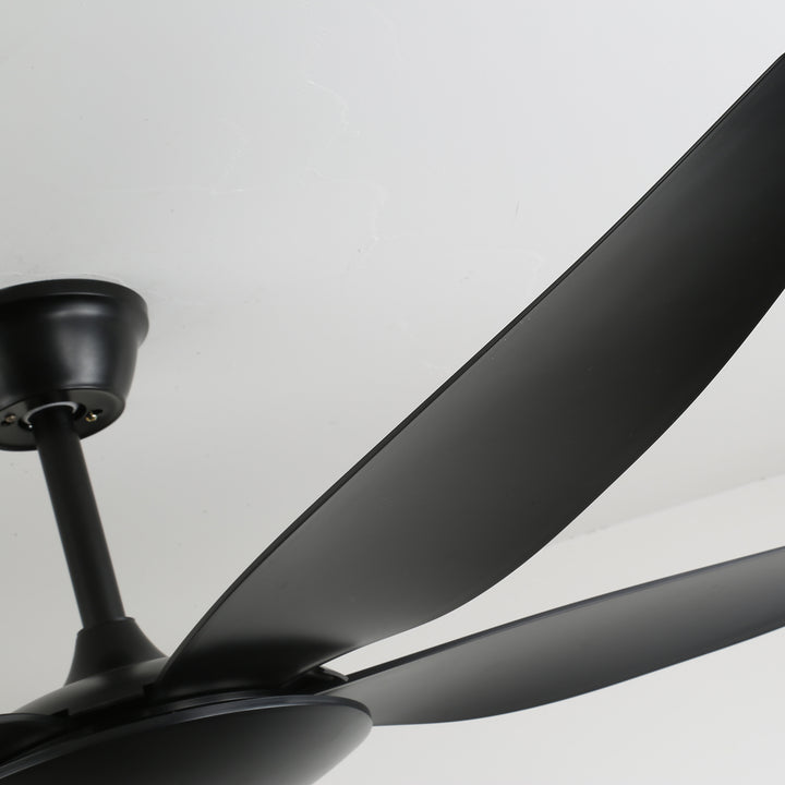 Aeron Noir Ceiling Fan - Vakkerlight