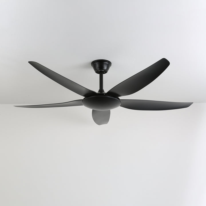 Aeron Noir Ceiling Fan - Vakkerlight