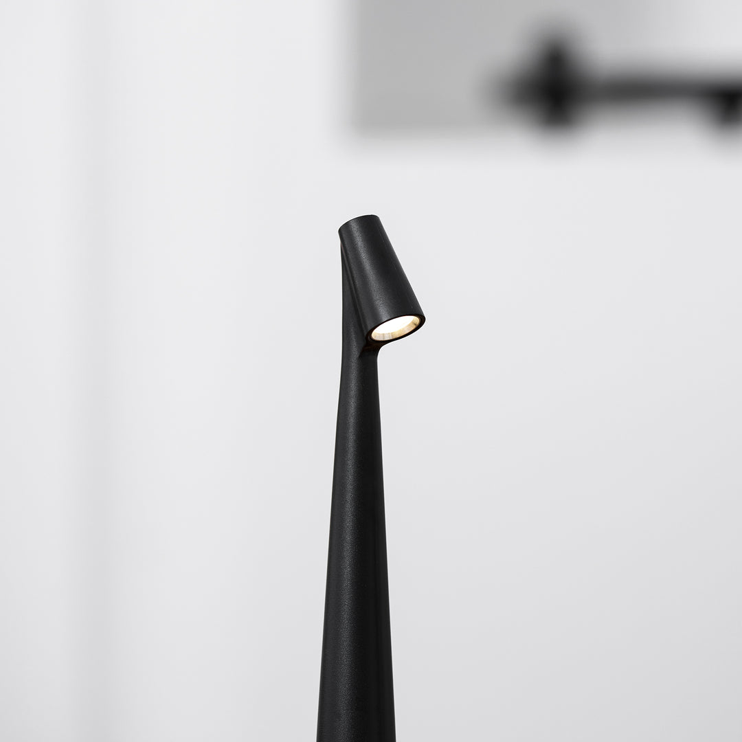 Africa Portable Table Lamp - Vakkerlight