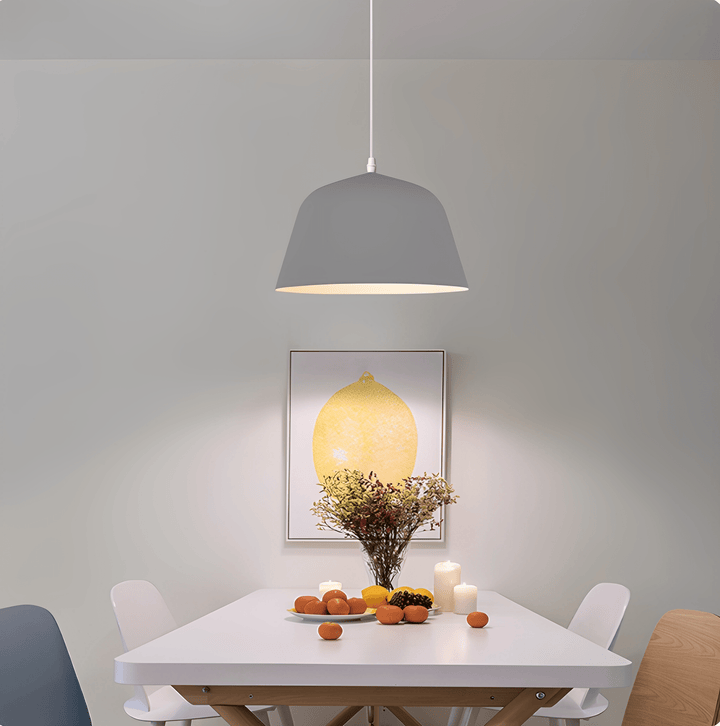 Ambit Pendant Light - Vakkerlight